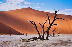 Namib Wüste
